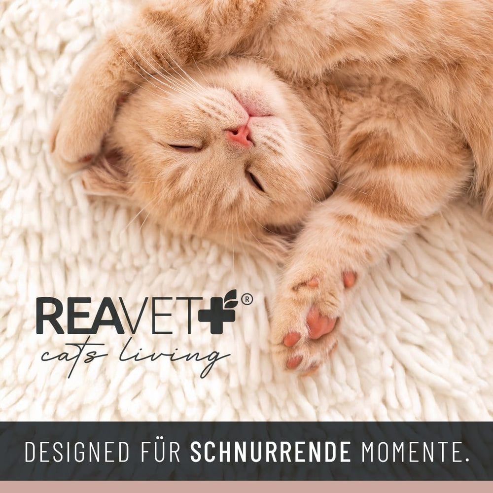 Couvertures et meubles, Animaux, Grottes et maisons, Chats, Lits pour chats, Chats - lits, matelas