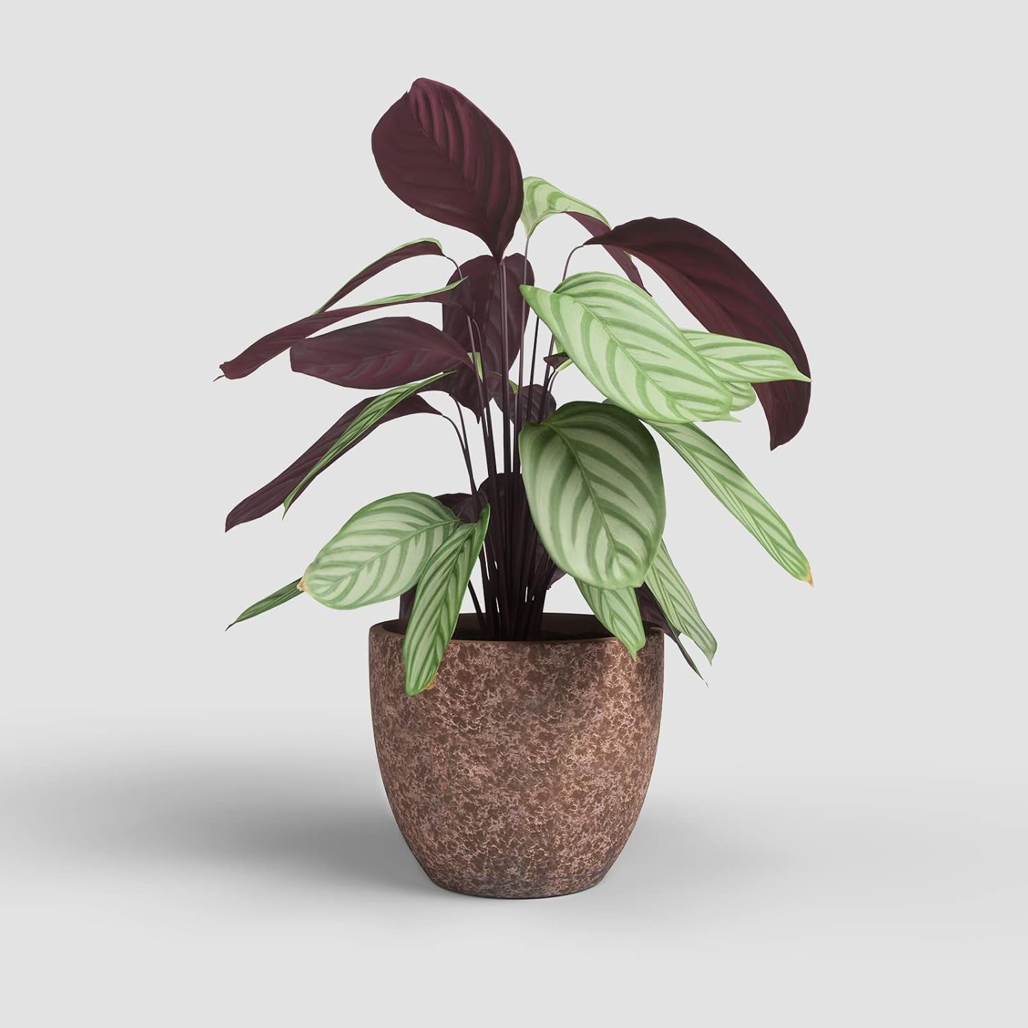 Pots de fleurs Artevasi Hestia, pots de fleurs, pots décoratifs, texture complexe, céramique faite à la main, couleur terre cuite, 17 cm