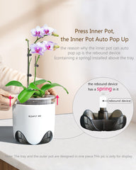 Ghivece pentru orhidee cu găuri de drenaj pentru transplantare, circulație excelentă a aerului, 2 bucăți, plastic cu strat dublu, jardinieră ceramică pentru orhidee, ghiveci transparent pentru orhidee, decorativ