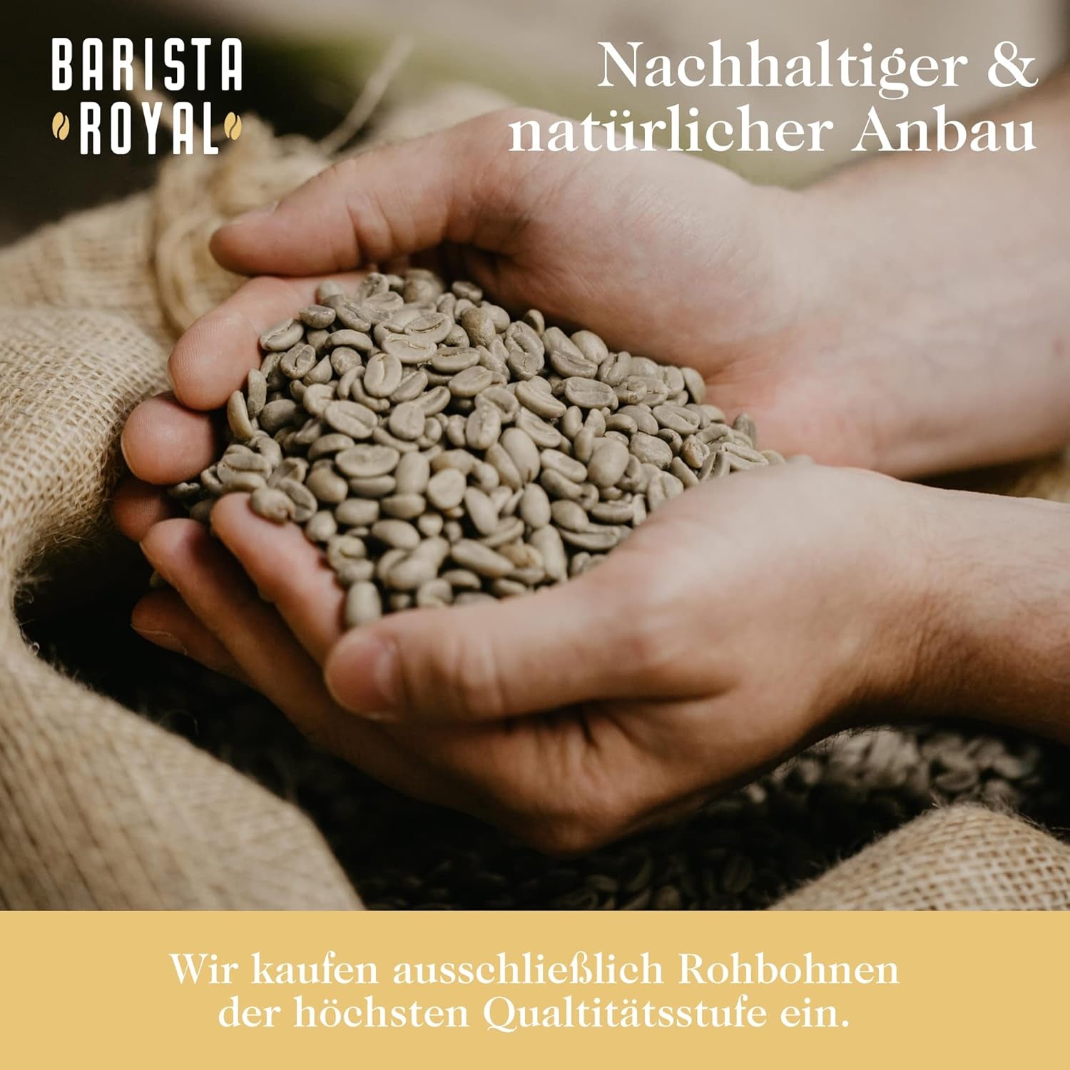 Ensemble d'échantillons de grains d'espresso 4 x 350 g de grains d'espresso | Pack découverte/Pack d'échantillons | Robusta et Arabica | Idéal pour les appareils entièrement automatiques et les porte-filtres | BARISTA ROYAL