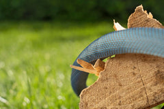 Gardena Liano Xtreme 1/2" 10 m Set : Tuyau d'arrosage textile extrêmement robuste pour robinetterie intérieure avec tuyau intérieur en PVC léger et résistant aux intempéries (18460-20)