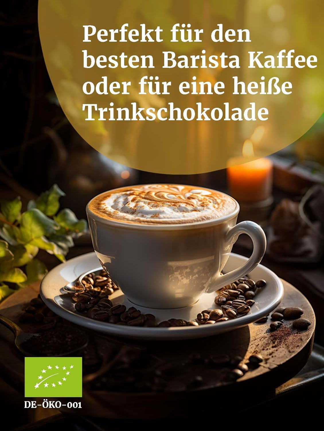 Bäckerei Spiegelhauer Bio Mager-Milchpulver 500 g Bio Milkpulver sans sucre en poudre de lait I auch geeignet für Joghurt-Herstellung, Eis-Herstellung I Trockenmilchpulver, Beutel