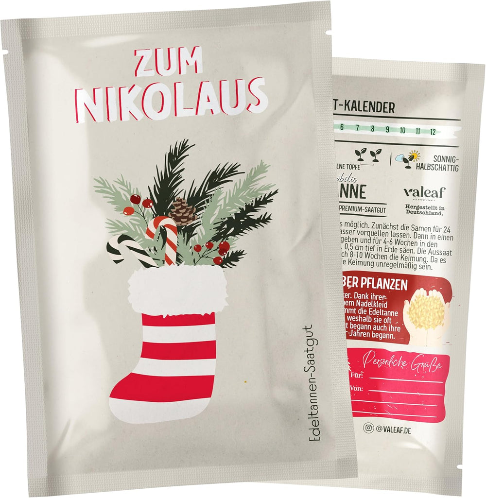 Sapin de Noël 2030 - Graines d'arbre de Noël Nordmann pour planter un sapin de Noël, idéales comme cadeau de Noël Secret Santa