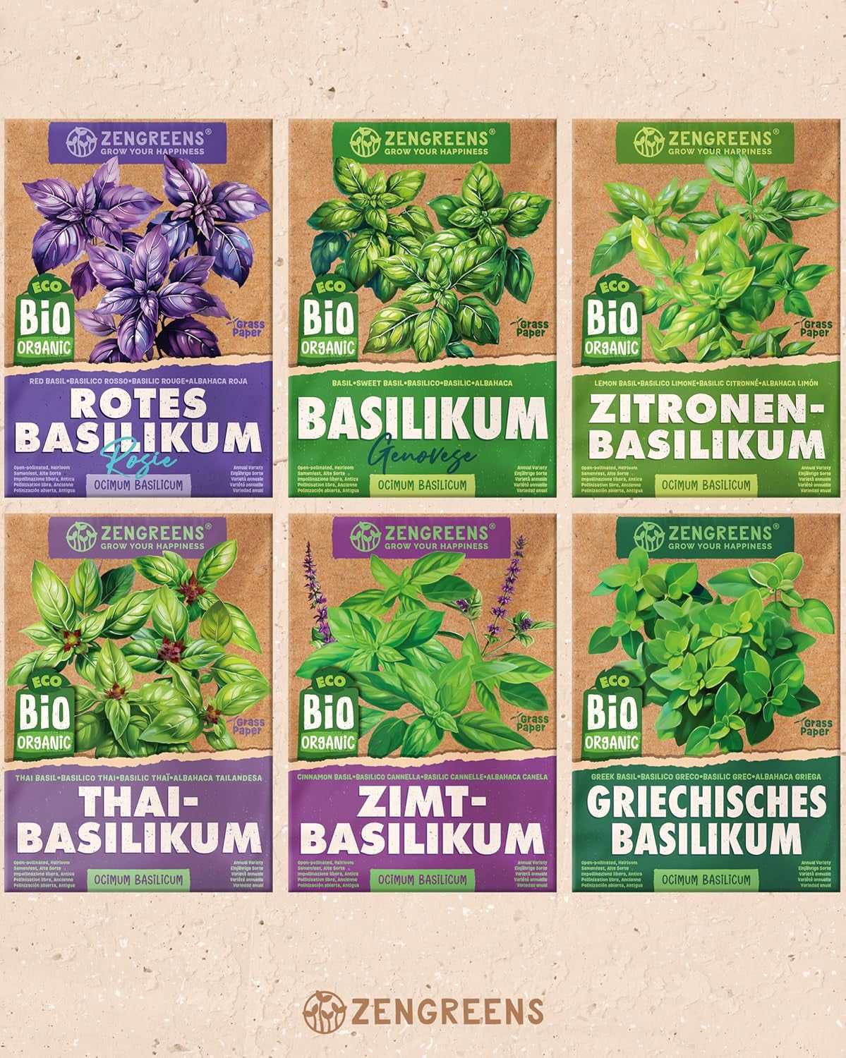 Graines de basilic biologiques dans un ensemble de 6 - 6 graines de basilic pour une culture facile dans le jardin, le balcon ou le parterre surélevé - Graines de plantes - Semis