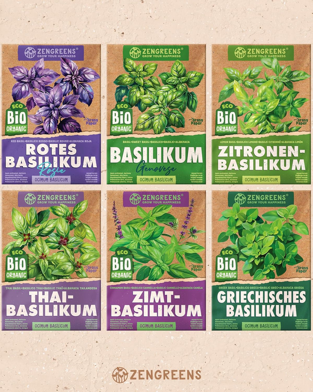 Graines de basilic biologiques dans un ensemble de 6 - 6 graines de basilic pour une culture facile dans le jardin, le balcon ou le parterre surélevé - Graines de plantes - Semis