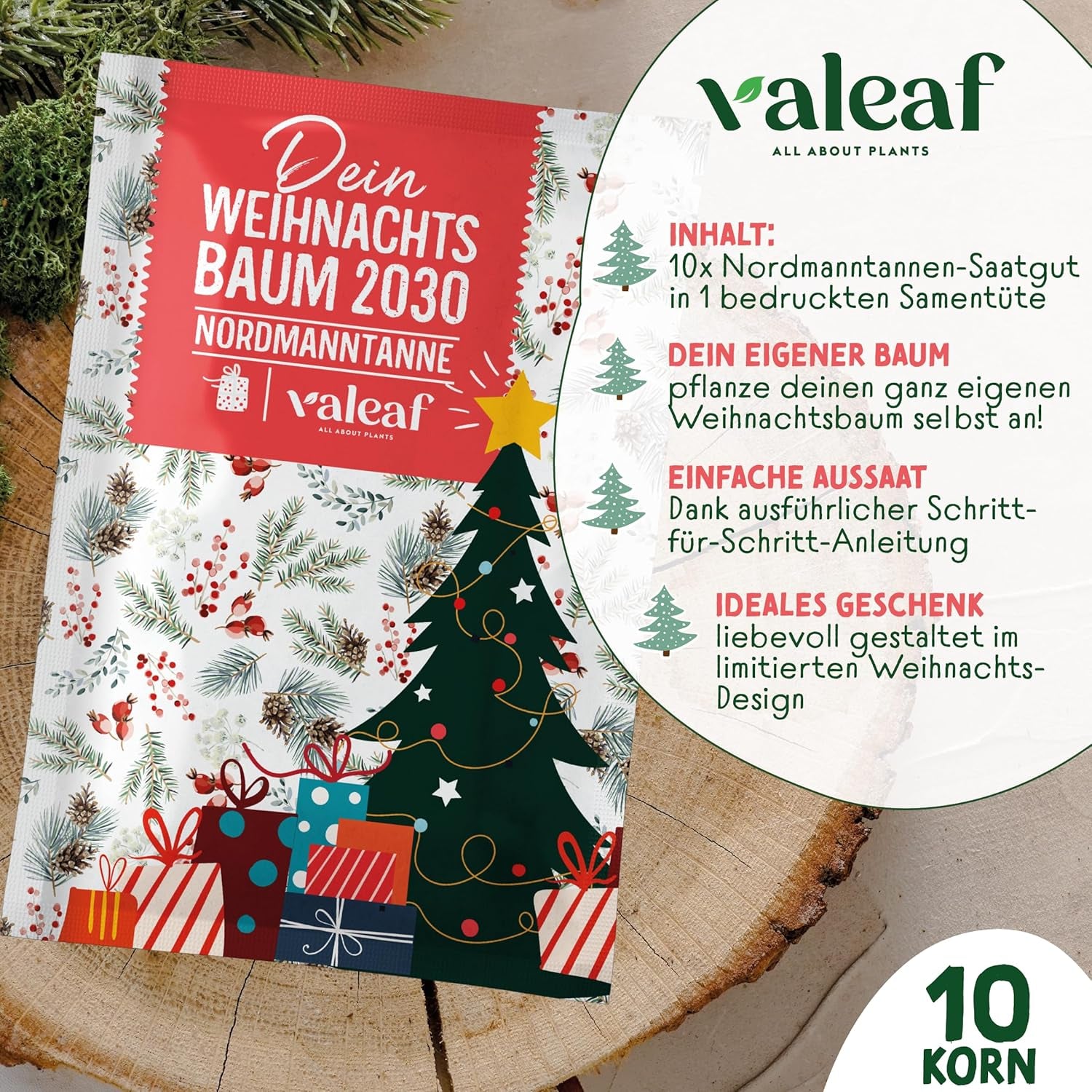 Sapin de Noël 2030 - Graines d'arbre de Noël Nordmann pour planter un sapin de Noël, idéales comme cadeau de Noël Secret Santa