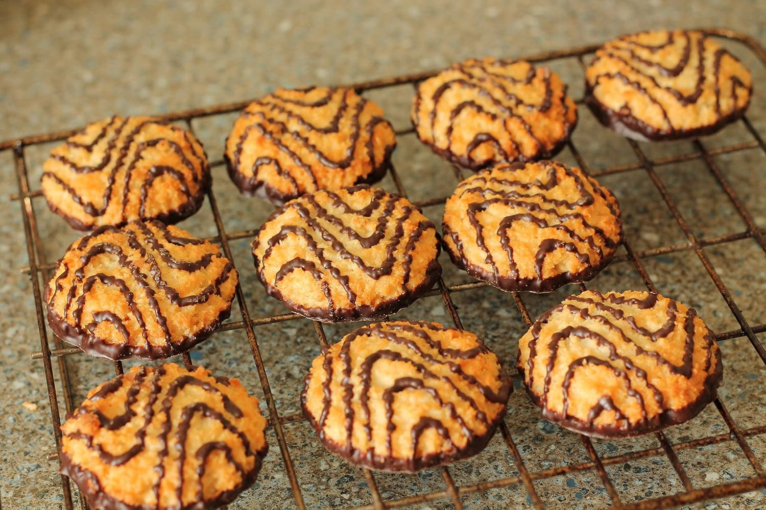 Lot de 6 moules à biscuits ronds réversibles Tala, moules à biscuits à bords lisses et cannelés, plastique sans BPA, pour pâte, fondant et massepain, 48 à 98 mm