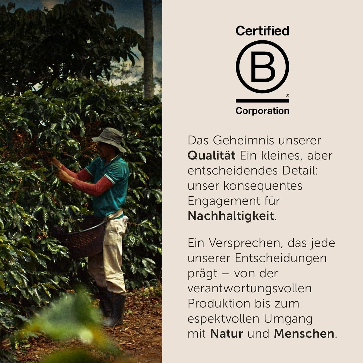 illy, Iperespresso Arabica Selection Kolombien, 100% Arabica mit Fruchtigen Noten von Zitrusfrüchten und Roten Früchten, Gesmack mit Tarter Säure, 6 Packungen à 18 Kapseln (Insgesamt 108 Kapseln)