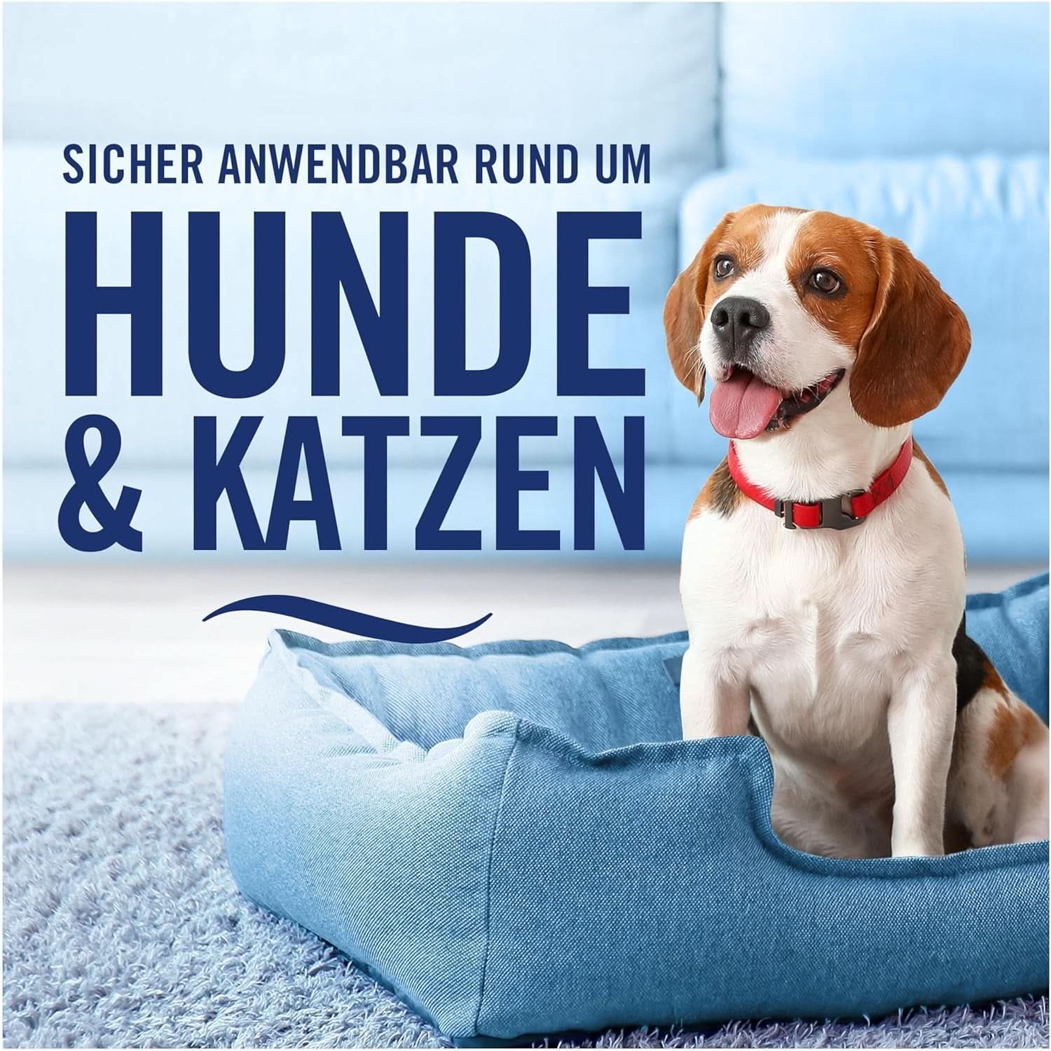 Febreze Détergent textile Lenor Amethyst Floral Dream, bleu, 500 ml Détergents Rufe Naty Shop