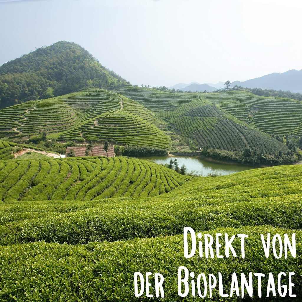 KLUIZ Gyokuro Tokiwa organic - Prima recoltă culeasă manual - Ceai verde japonez I 100 grame I Ceai verde organic