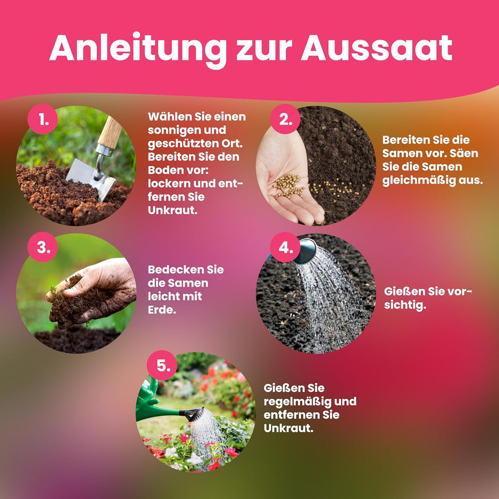 Graines de fleurs LERAVA (12 variétés) - plantes vivaces résistantes à l'hiver - graines de jardin et de balcon - germination rapide pour un semis facile - mélange de fleurs nécessitant peu d'entretien pour une floraison continue