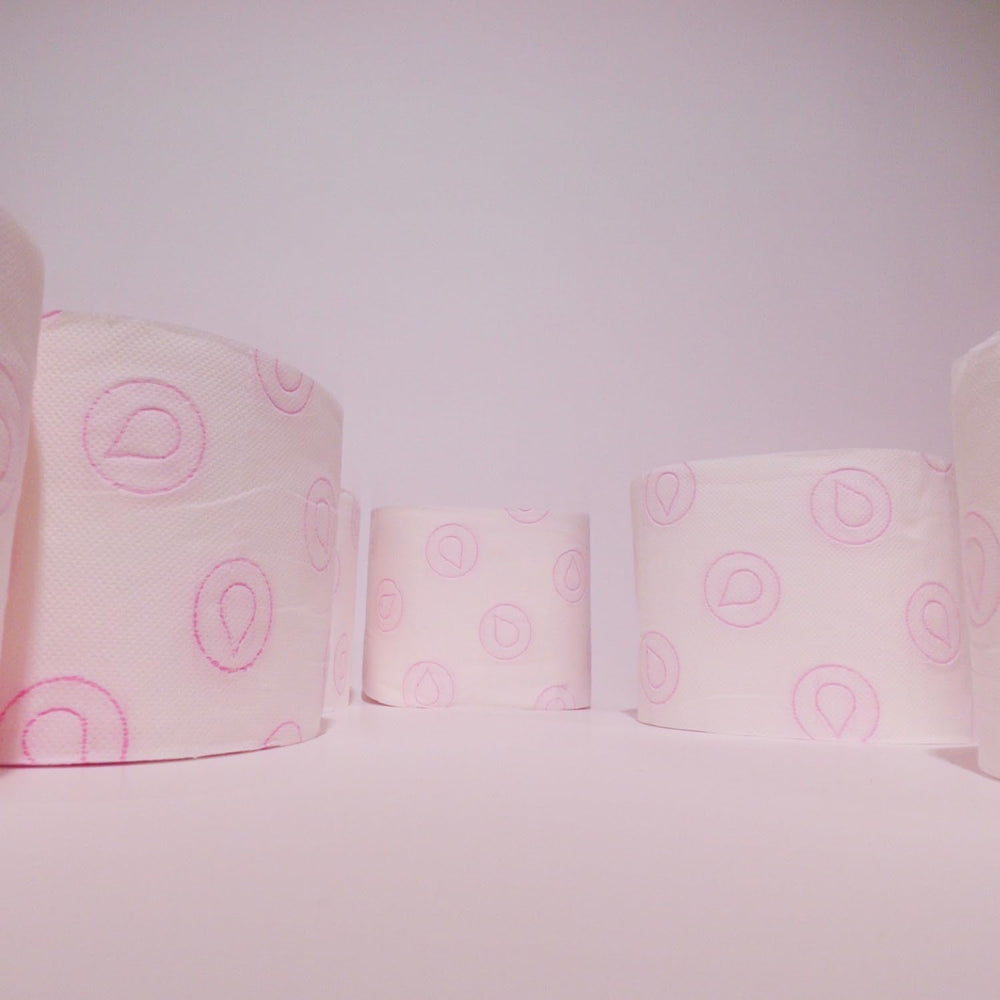 FORNOR RENOVA 67125 PAPIER TOILETTE RENOVA SOIN PARFUMÉ