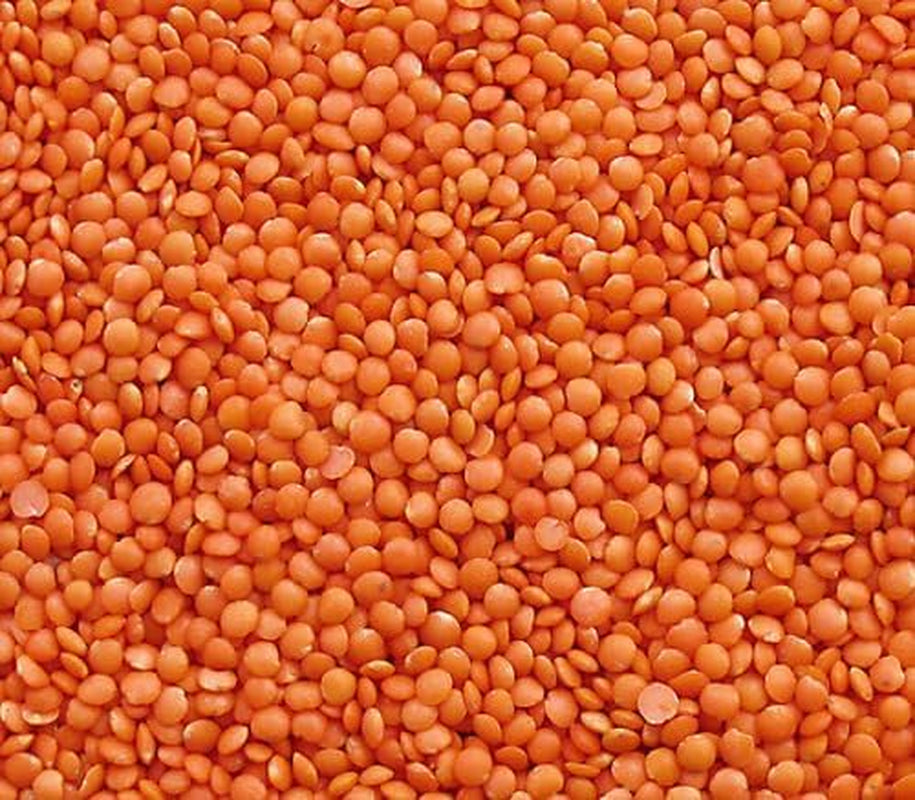 Lentilles rouges Seba Garden 1 kg - Lentilles entières de qualité supérieure du Canada - Massor Dal, sans OGM, riches en protéines, riches en fibres - Entièrement naturelles, végétaliennes, sans gluten, idéales pour les soupes et les currys