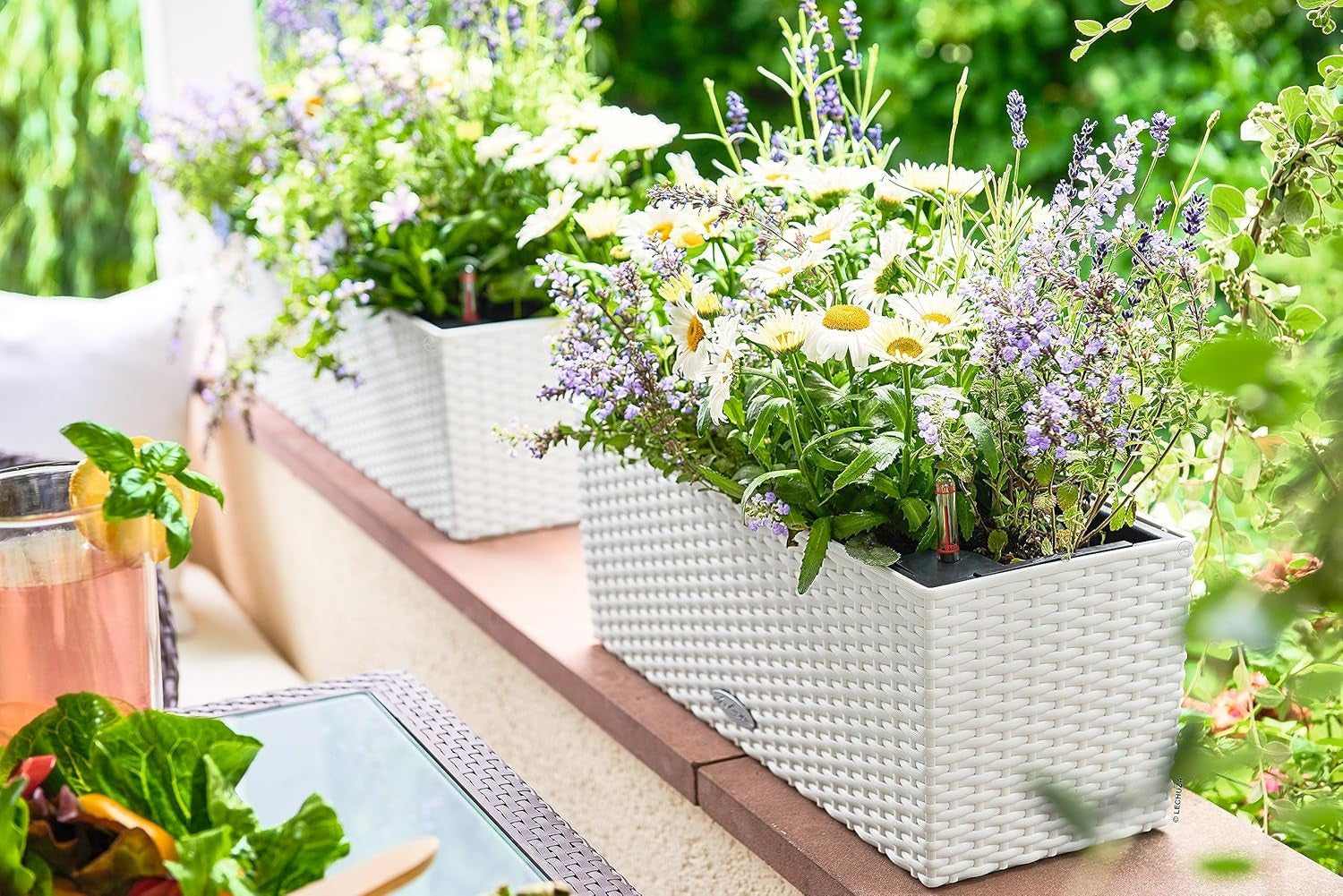 LECHUZA BALCONERA Cottage 50 blanc 15600