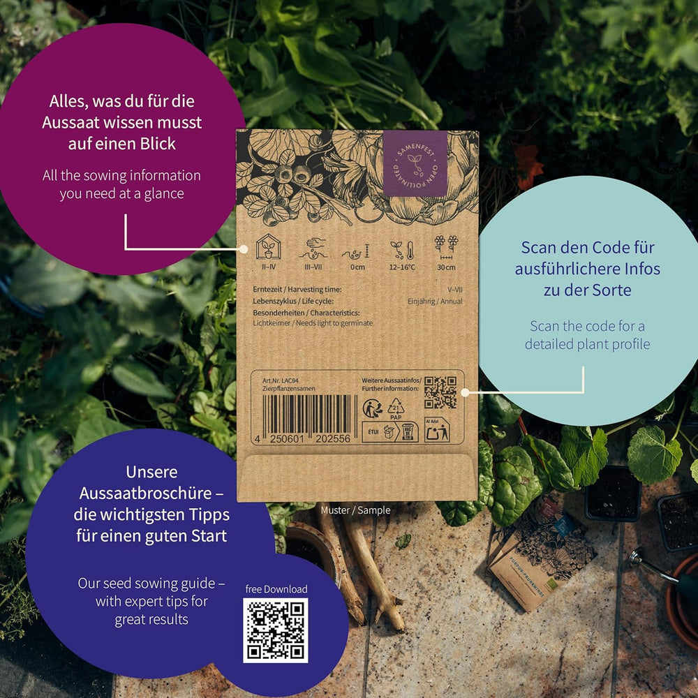 Magic Garden Seeds - Le Jardin du Monastère : Légumes et herbes du Moyen Âge - 9 Boîtes de graines culinaires, médicinales et de jardin historiques