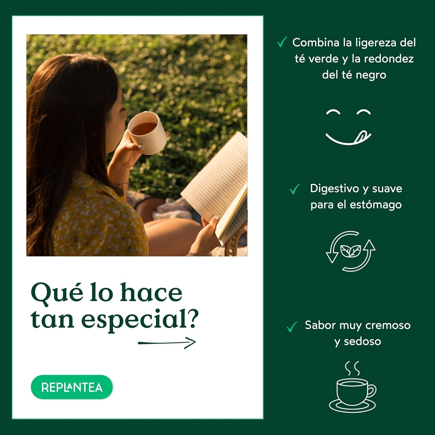 Thé Oolong au lait BIO (100 g) | Thé Oolong en vrac de qualité supérieure aux notes de lait crémeuses et sucrées | Spécialité de thé délicate | REPLANTER