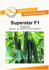 Superstar F1 Gurkensamen Von Bobby-Seeds Portion
