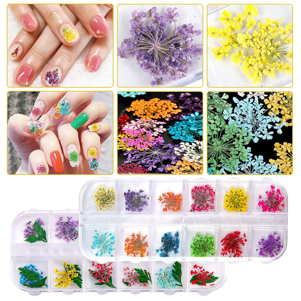 Getrocknete Blüten Nail Sticker, 2 Box 36 Stücke 3D Nail Art Kunstharz Blumen Sticker, Blüten Getrocknet Nagelkunst Trocken Blumen Nagel Zubehör für Nagel Dekor DIY Design avec 1 pince à épiler