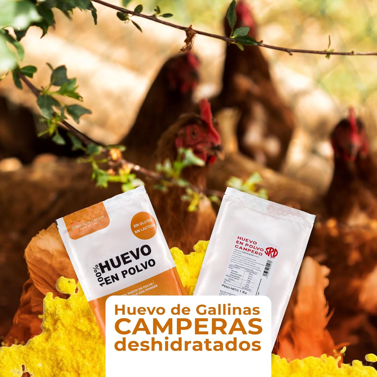 Pulvérisation au Freilandeiern (1kg) | Pulvérisateur pasteurisé Vollei | Ohne Zusatztoffe | Sans gluten et sans lactose | Emballage sous vide dans un magasin Zip