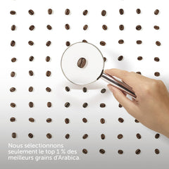 Illy Coffee Beans Sélection de grains de café Arabica de luxe d'Éthiopie, paquet de 6 (6 x 250 g)