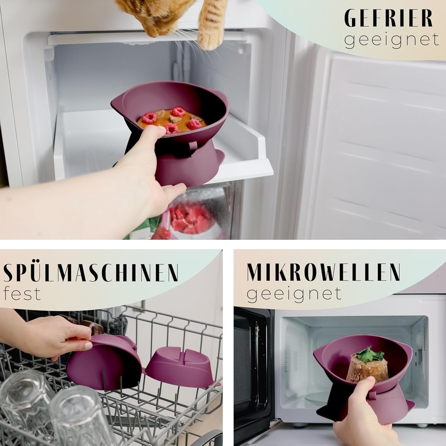 ne&no® Silikon Katzennapf erhöhet mit Verstellbarer Neigung | Futternapf Katze erhöhet | Katzen Futternapf erhöhet | Katzen Napf