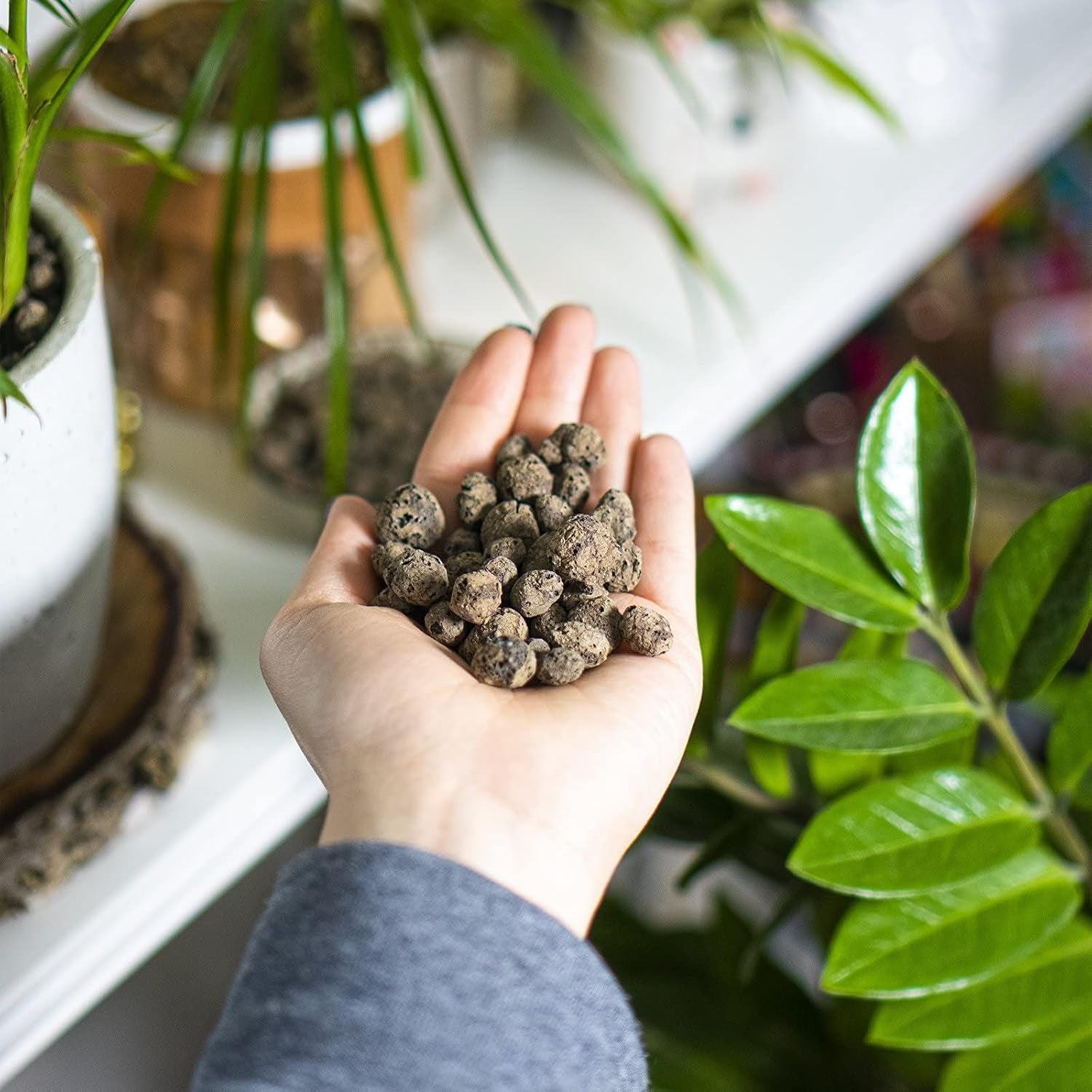 Browin 749950 Keramsit - argile expansée 4 L, 10-20 mm, marron