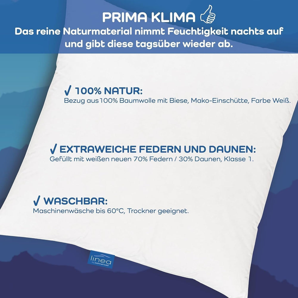 LINEA by Böhmerwald - Cosy - Oreiller Balance de haute qualité, 40X80, 70% plumes classe 1, 30% duvet neuf, adapté aux allergies, lavable jusqu'à 60°C, fabriqué en Allemagne Oreillers standards Naty Shop