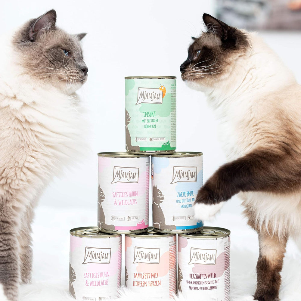 MjAMjAM - Nourriture humide de qualité supérieure pour chats - Plaisir de la viande pure - Paquet de 6 poulets juteux (6 x 800 g) sans céréales avec viande supplémentaire