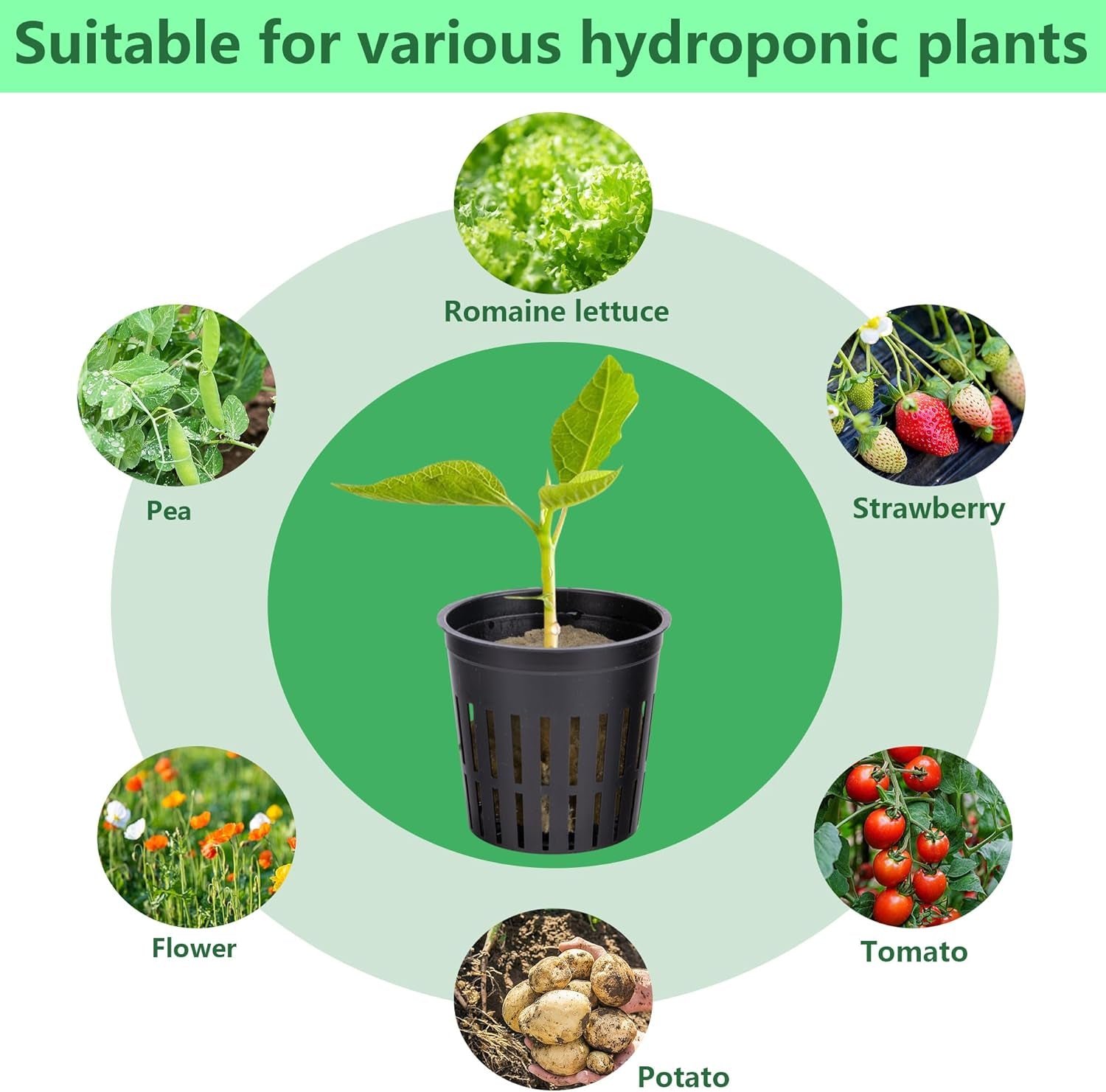 Kit de filet de culture hydrographique de 76 pièces - 20 pièces de 2 pouces (5 cm) - Filet supérieur avec filet de protection, 36 pièces de fil de pierre, 20 pièces d'articles de nettoyage de jardin en tissu pour la culture hydrographique