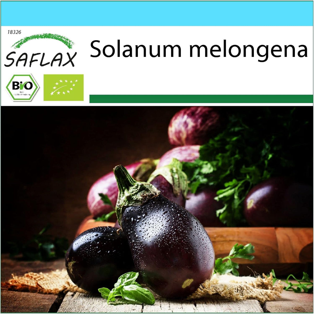 SAFLAX - Geschenk Set - BIO - Aubergine - Black Beauty - 25 Samen - Mit Geschenk- / Versandbox, Versandaufkleber, Geschenkkarte Und Anzuchtsubstrat - Solanum Melongena
