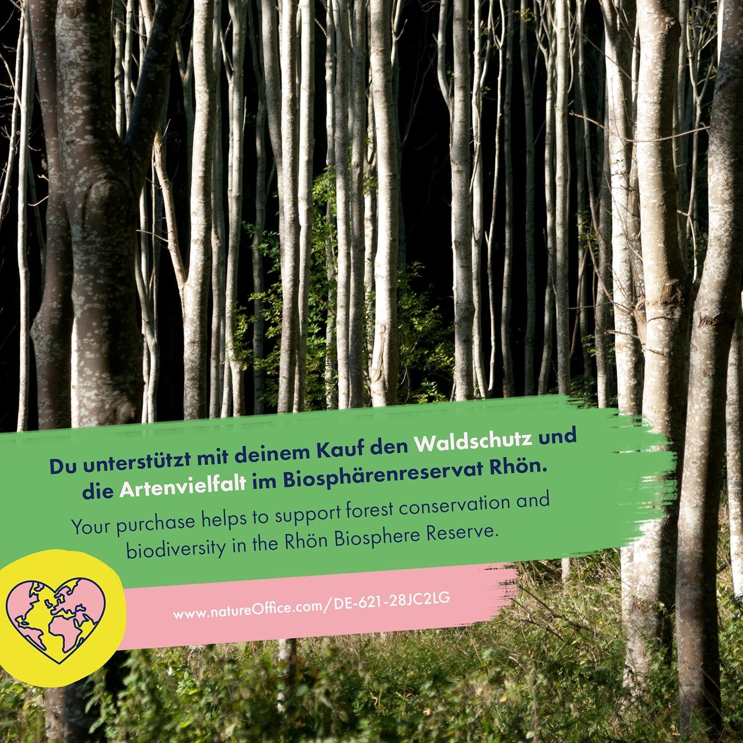 Fleurs séchées - 10 variétés de fleurs pollinisées gratuitement - éternelles et belles - Ensemble de graines pour débutants, comme petit cadeau ou pour un usage personnel