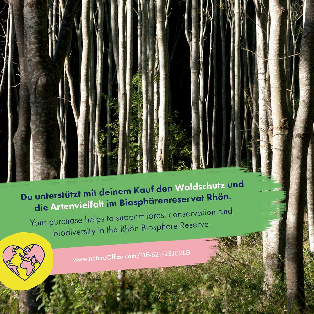 Blooming Rainbow - 6 mélanges de fleurs pollinisées gratuits - Spectaculaires et colorés - Ensemble de graines pour débutants, comme petit cadeau ou pour un usage personnel