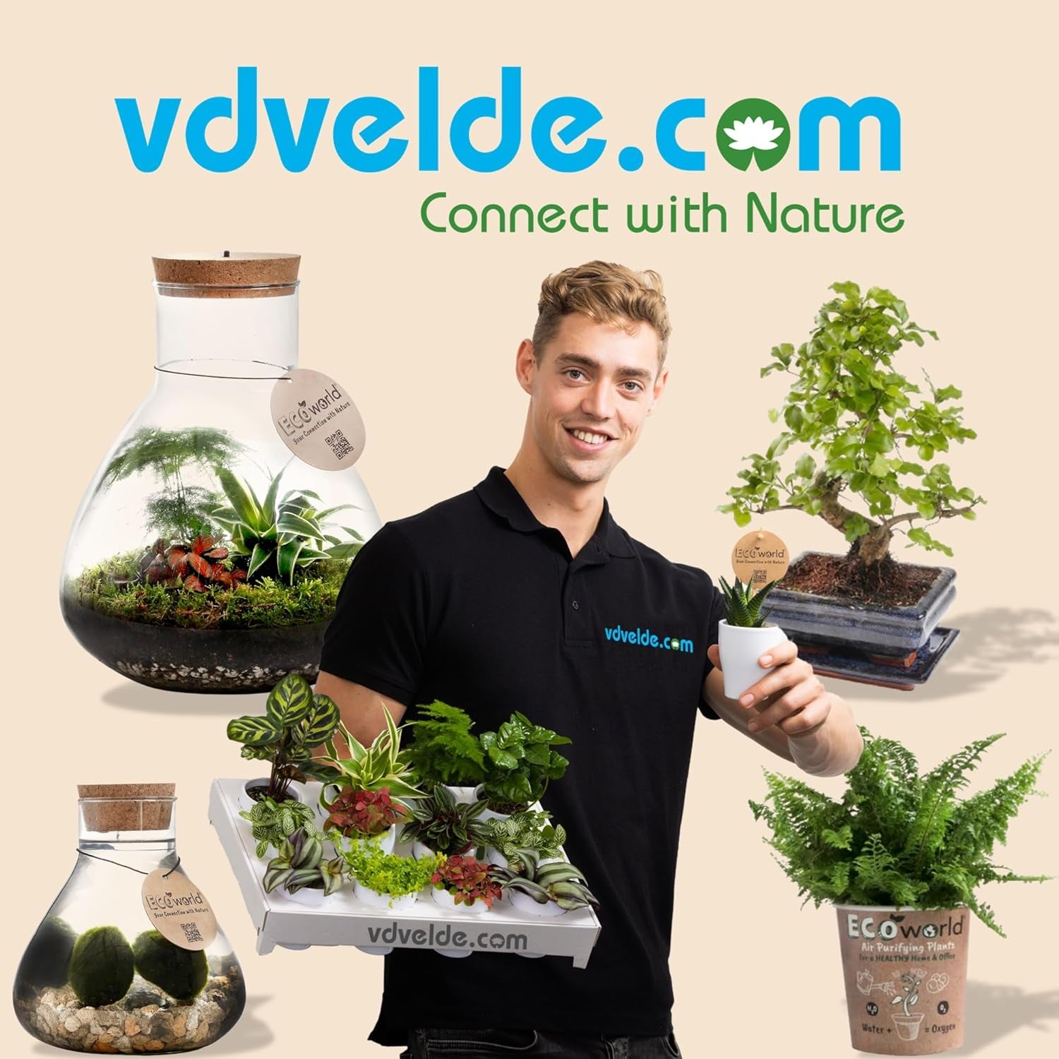 Vdvelde.Com - Bonsai-Starter-Set Buddha-Wasserfall - • Buddha-Wasserfall-Set Mit Netzstromanschluss • 30 X 13 Cm ↥ Ca. 30 Cm • Inkl. Pflegeleichtem Wassersystem + Pflegeset