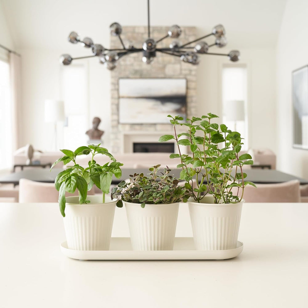 Ensemble de 3 magnifiques pots de jardin d'herbes aromatiques, parfaits pour n'importe quel rebord de fenêtre ou comptoir de cuisine, un ensemble de jardinières décoratives modernes comprenant un plateau et...