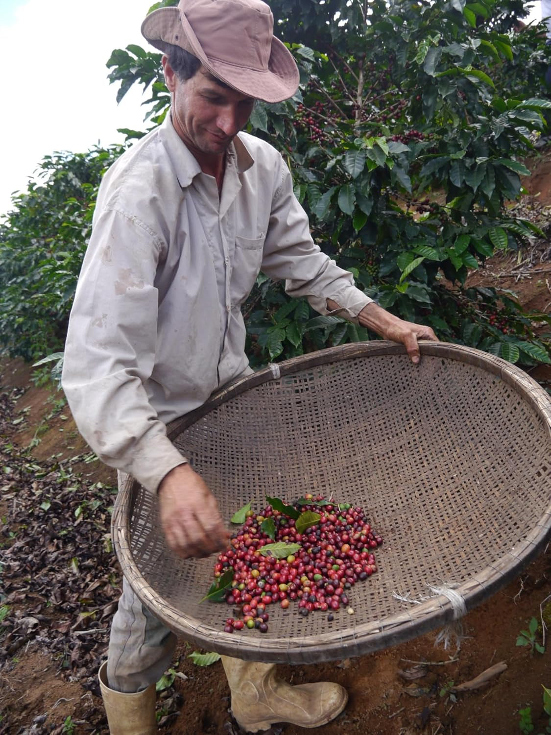 Buena Vista Primèro Espresso Blend - Café 100 % Arabica de Jamaïque, Guatemala, Panama et Brésil - Berliner Röstung, ausgefung-luxuriös, Espresso für Genießer & Gastronomie