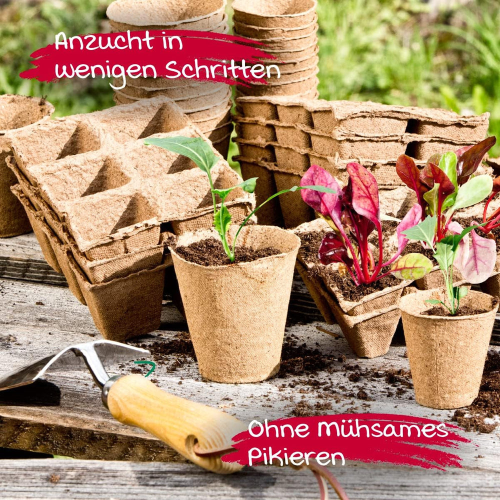 Ghivece pentru răsaduri Windhager, 48 bucăți, diametru 8 cm, maro, fără turbă, 04343