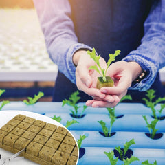 28 cubes de laine de roche, ensemble de laine de roche, tapis de culture en laine de roche, tapis de culture hydroponique sans sol, cube de laine de roche, cubes de laine de roche pour boutures, clonage, propagation 4*4*4 cm