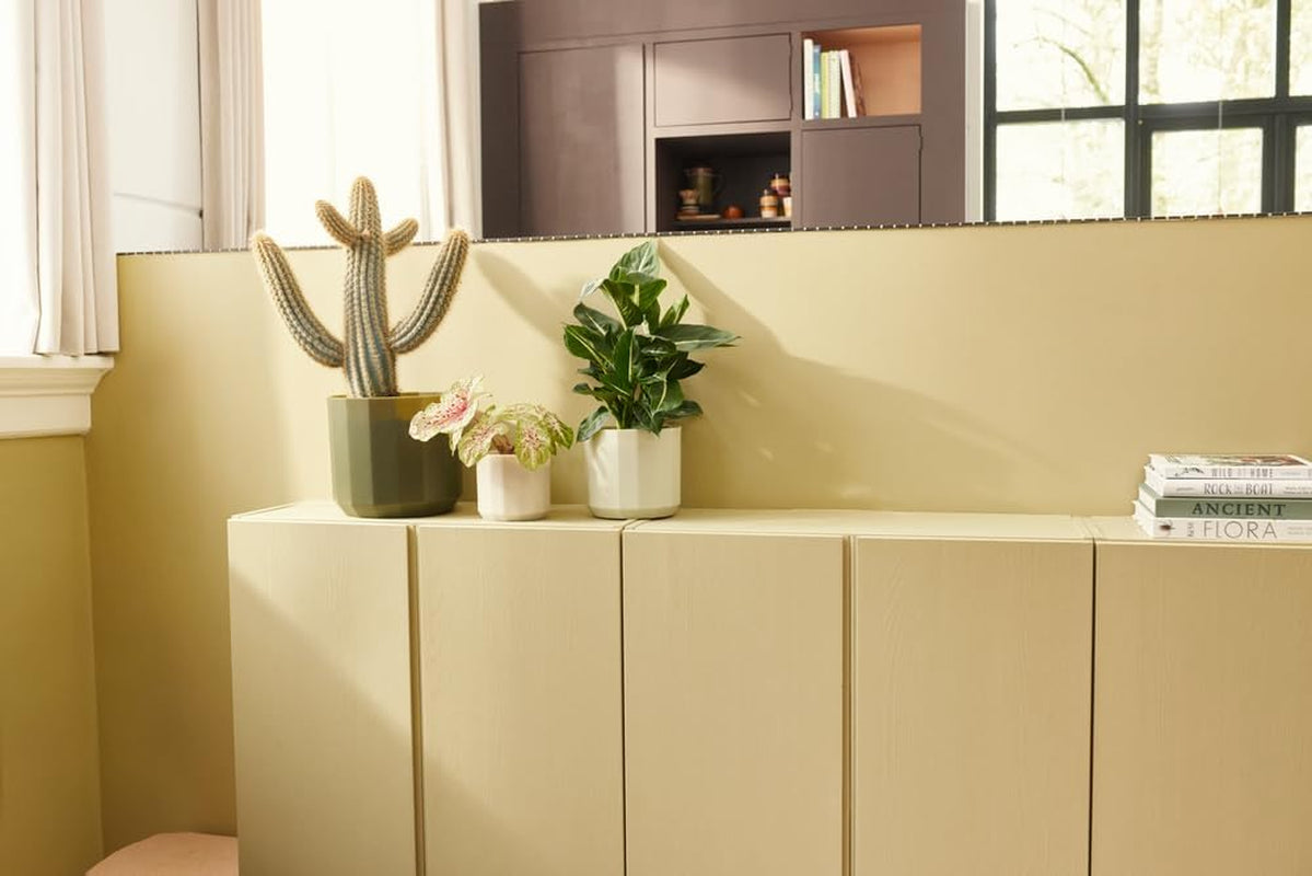 Pot rond elho Facet 17cm - pour l'intérieur - 100% plastique recyclé - Ø 16,6 x H 14,9 cm - Rose/Rose amande