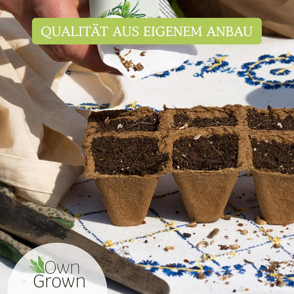 Ensemble de graines de légumes OwnGrown - 12 variétés de graines pour la culture des betteraves et des jardins - Boîte pratique avec des graines pour le jardinage de la maison - Idéal pour les jardins