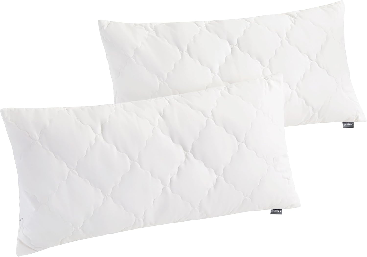 Traumnacht Oreiller en bambou avec fibres de bambou, hypoallergénique, antibactérien Ensemble d'oreillers avec fermeture éclair, composé de 2 oreillers 40X80Cm, certifié Oeko-Tex, développé en Allemagne Oreillers standard Naty Shop Oreiller 40 X 80 Cm