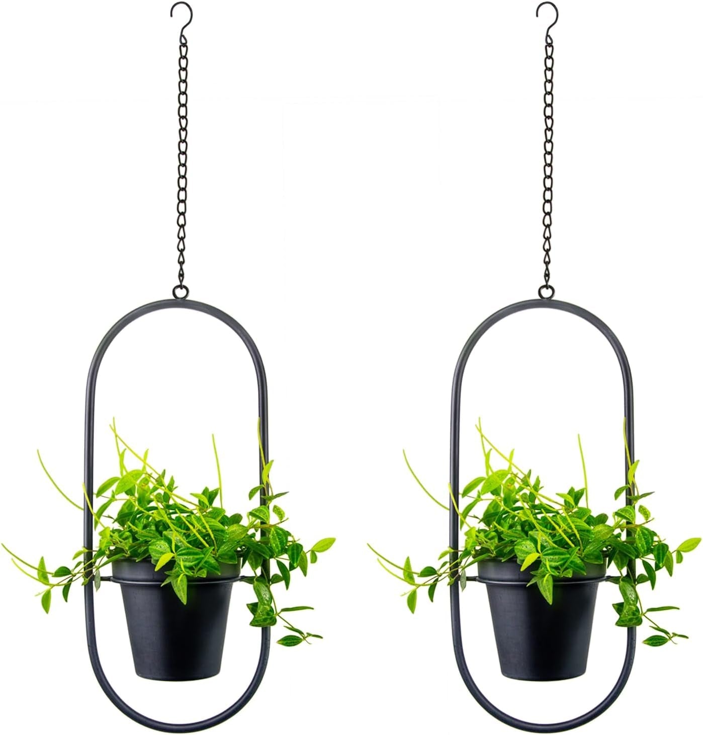 Pots de fleurs suspendus en métal 2 pièces cintre de plante géométrique ovale noir avec pots jardinière de mur et de plafond moderne intérieur extérieur 15,2 cm Pots de fleurs 2 pièces