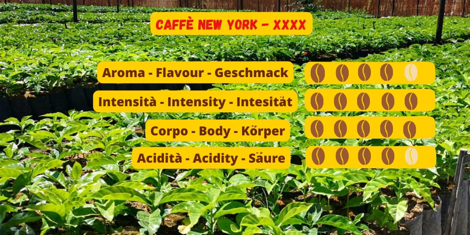 Caffè New York - XXXX - Café en grains - 1000g