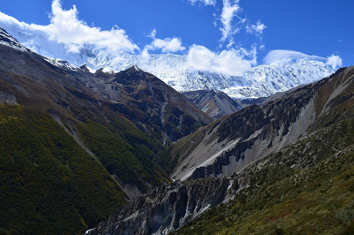 Rohkaffee Népal Mont Everest Café (1000g)