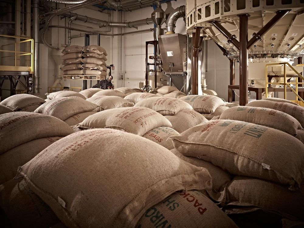 Café Espresso Perla - Grains 1000g, Poids: 6 x 1 kg