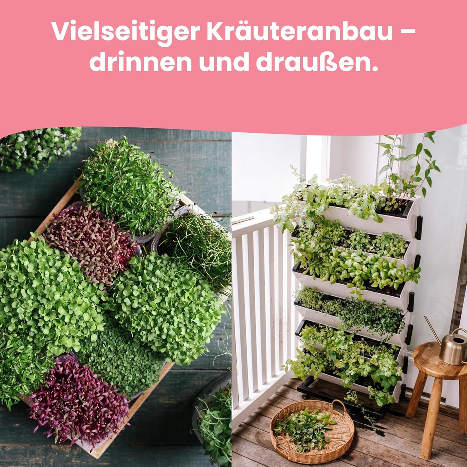 LERAVA Kräutersamen Set – 12 Sorten: Basilicum Samen, Parsilie Samen, Coriandre, Origan & plus – Saatgut für frische Kräuter im Garten oder Topf, Premium Samen für Küche & Balkon - Samen set, graines