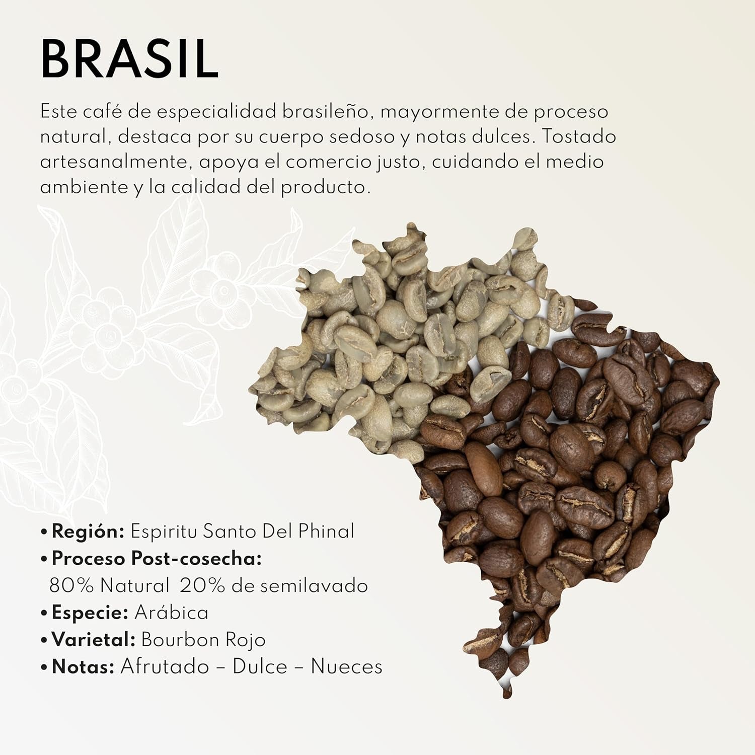 Boconó Café de spécialité en grains, Brésil, 1 kg, processus naturel, grains de café, Arabica, expresso, presse française, traçabilité complète