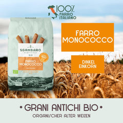 Pâtes Tortiglioni Bio N°89 - 500g Pâtes de blé allégées – Faible teneur en matières grasses – Source de fibres et de protéines