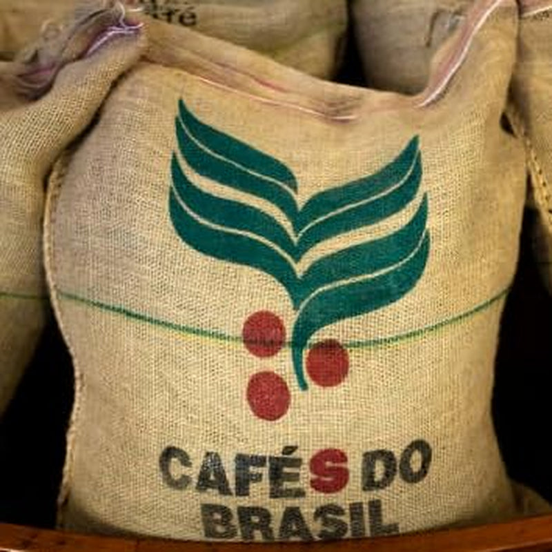 NIK CAFE' - Miscela Ristretto - Grains de café torréfiés, Ristretto de Sa Majesté en Italie - Lauréat du prix d'or pour les aliments et boissons de classe mondiale - Arabica et Robusta