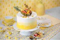 Séparateur de gâteau en plastique classique Kaiser original 31,5 cm Séparateur de gâteau pour 14 ou 16 tranches égales Séparateur de gâteau double face blanc