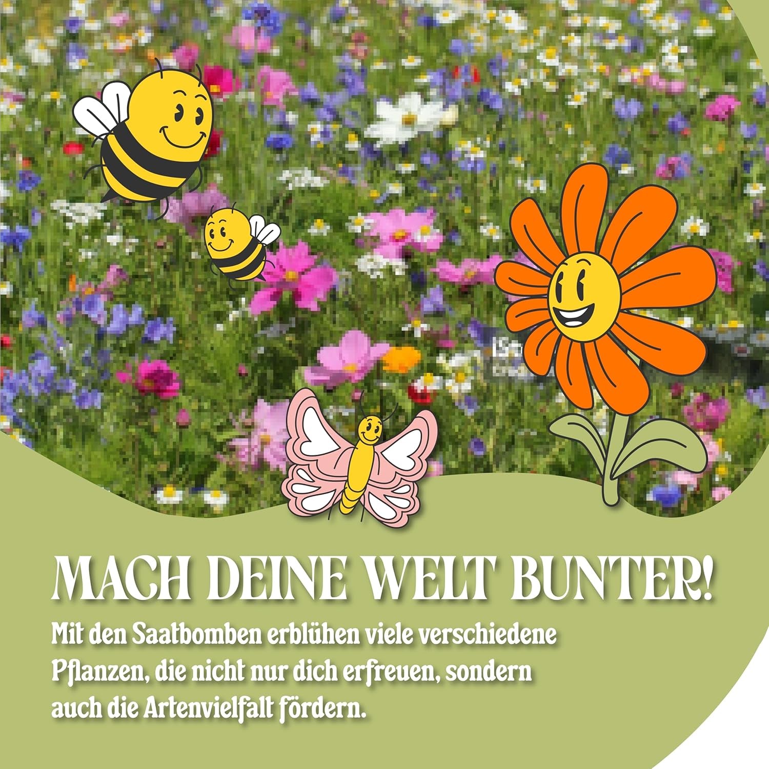 LouMaxx Ensemble de bombes de graines faites à la main 10 x 3, cadeau de bombe de graines, graines de fleurs comme cadeaux de fête, graines durables pour cadeaux de fête d'enfants, boules de jardinières respectueuses de l'environnement avec plus de 50 types de graines de fleurs